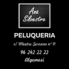 Ana Silbestre Peluqueria